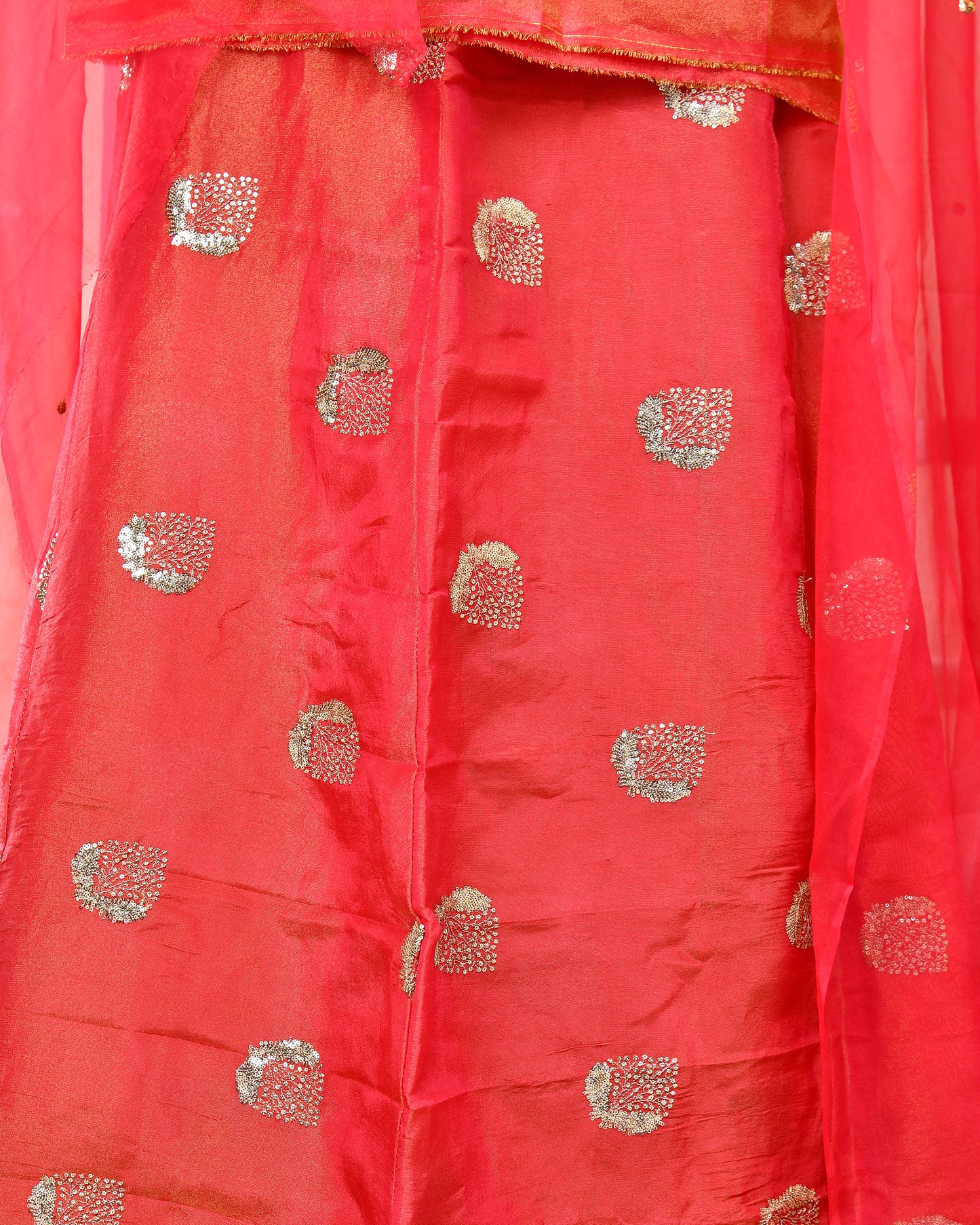 Tamatri Tissue Handwork Rajputi Suit