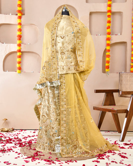 Gold Antique Rajputi Poshak