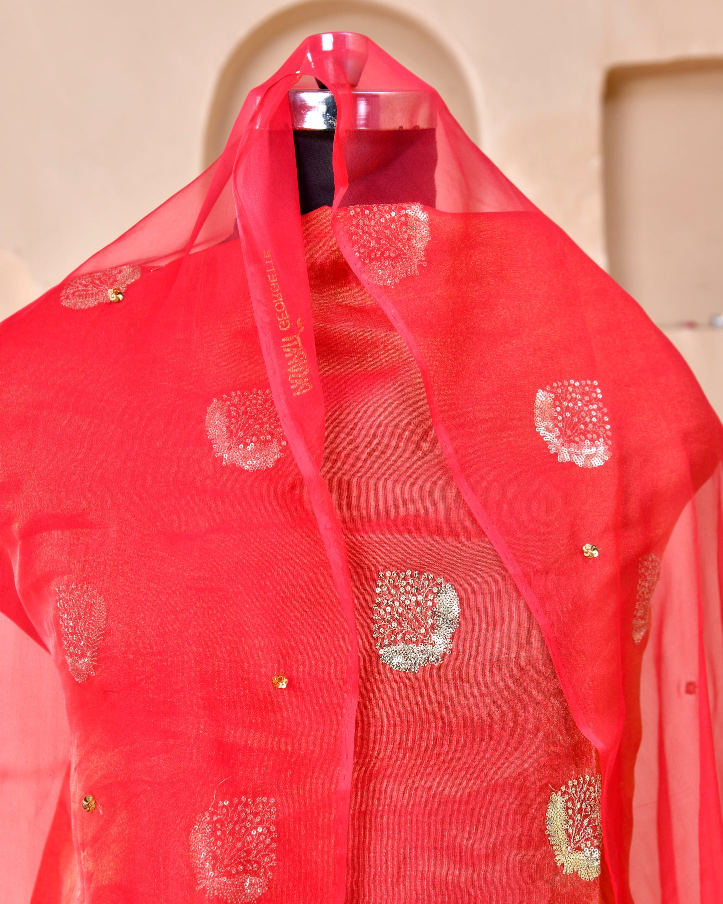Tamatri Tissue Handwork Rajputi Suit