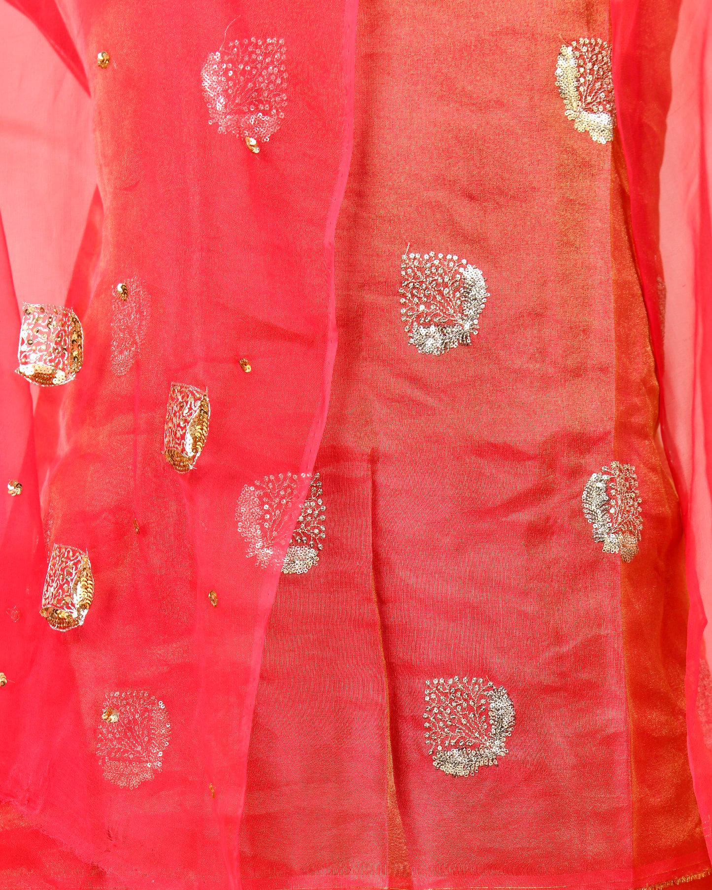 Tamatri Tissue Handwork Rajputi Suit